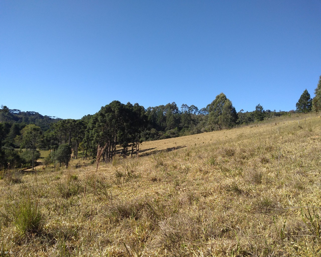 Chácara à venda, 30000m² - Foto 6