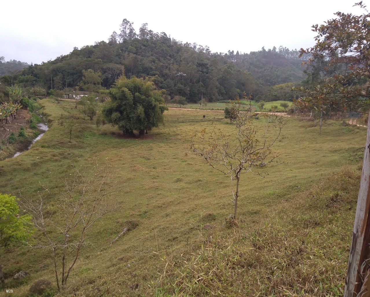 Chácara à venda, 20000m² - Foto 13