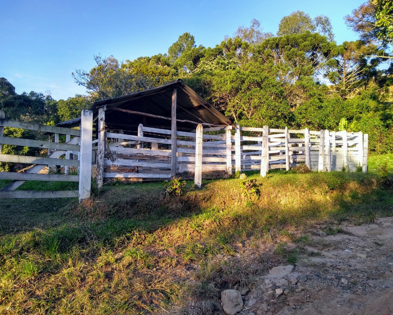 Sítio à venda com 5 quartos, 3m² - Foto 19