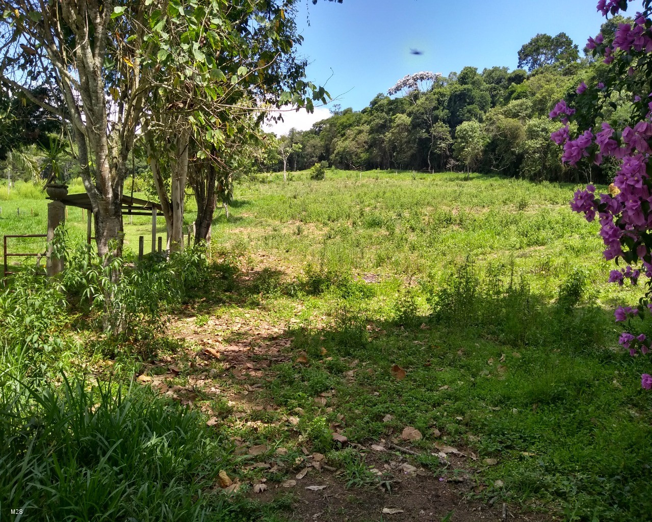 Sítio à venda com 5 quartos, 10m² - Foto 65