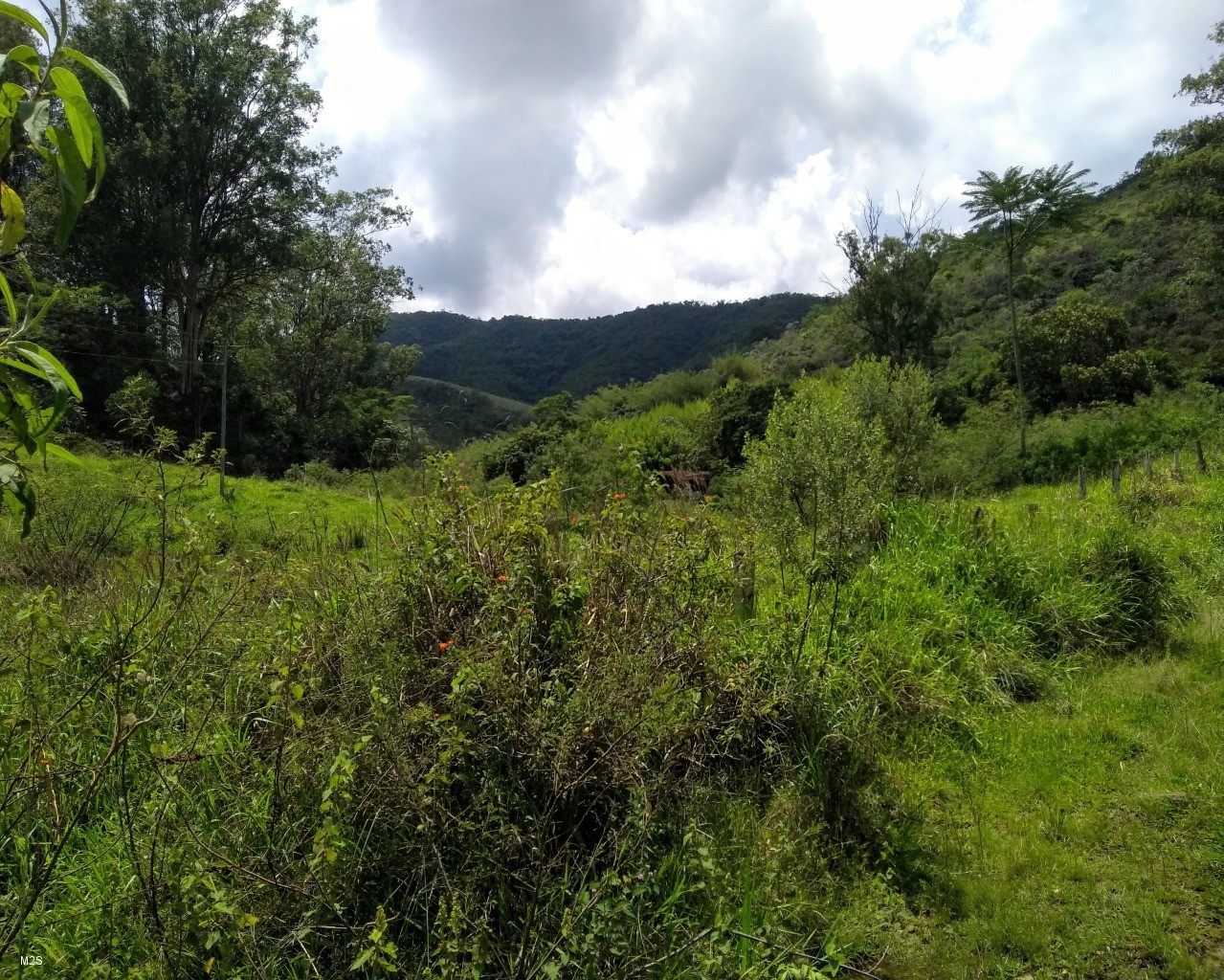 Fazenda à venda - Foto 1