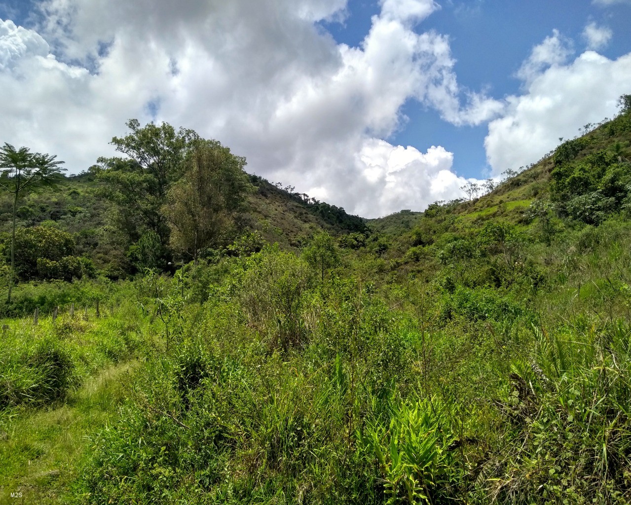 Fazenda à venda - Foto 2