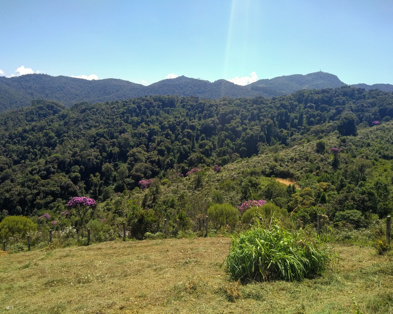 Chácara à venda, 30000m² - Foto 2