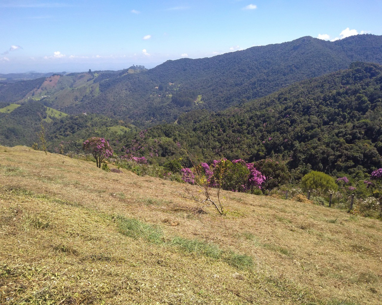 Chácara à venda, 30000m² - Foto 3