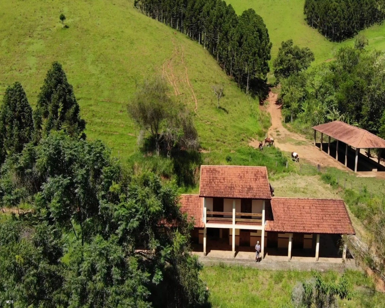 Fazenda à venda com 5 quartos, 131m² - Foto 8