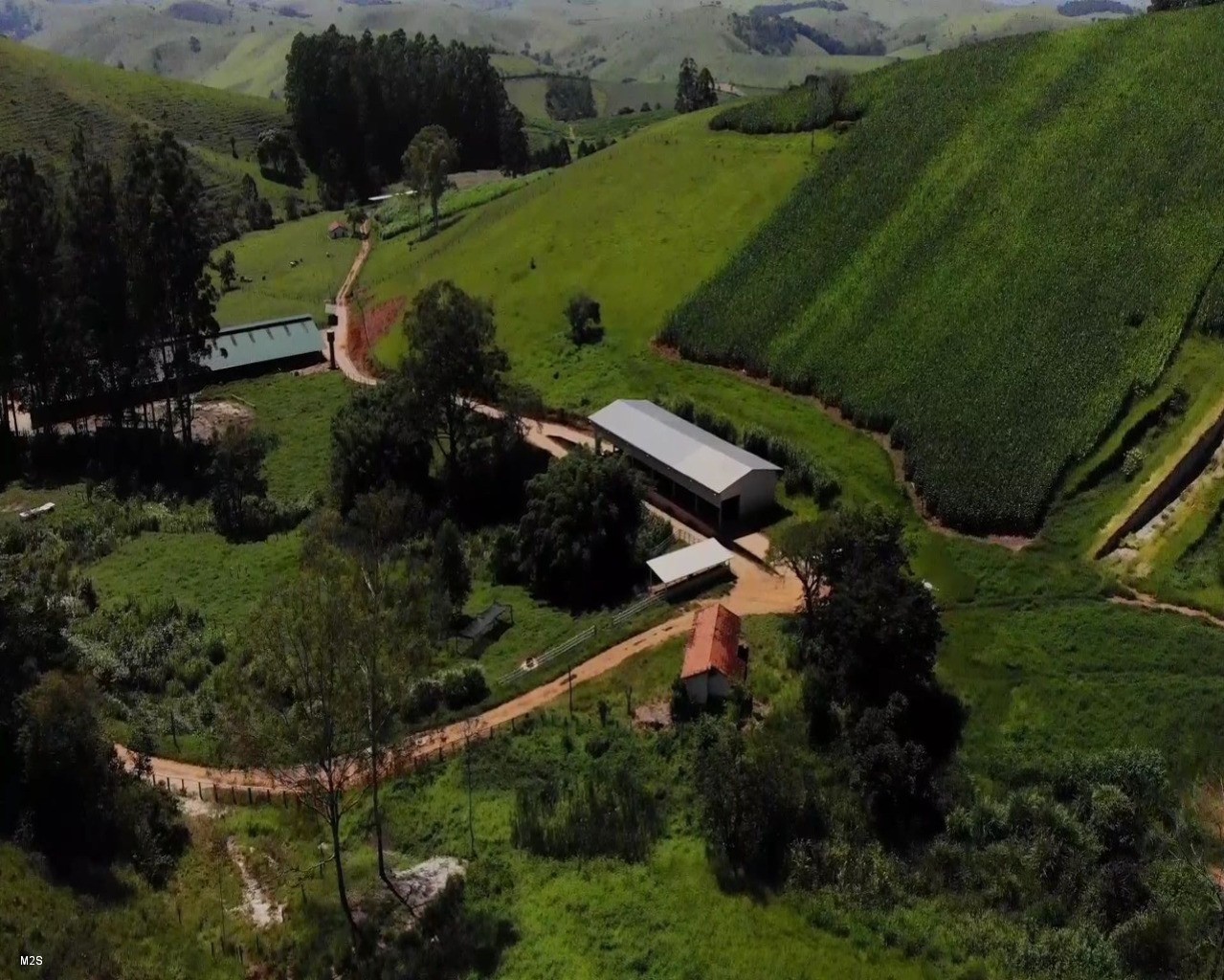 Fazenda à venda com 5 quartos, 131m² - Foto 2