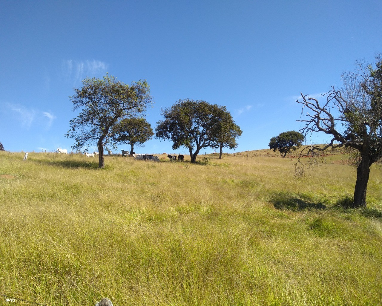 Fazenda à venda, 150m² - Foto 2