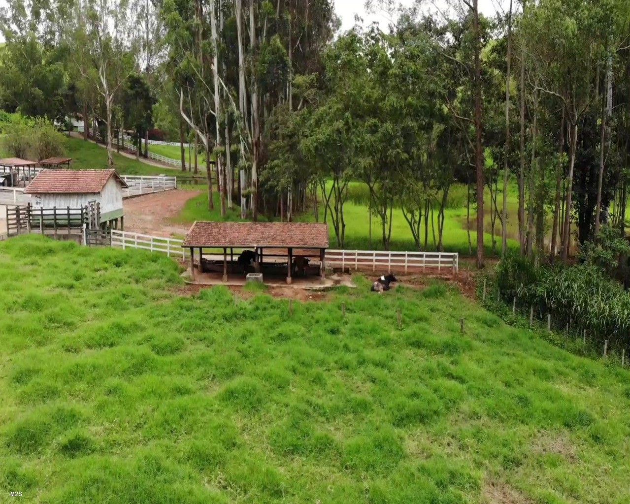 Fazenda à venda com 5 quartos, 131m² - Foto 14