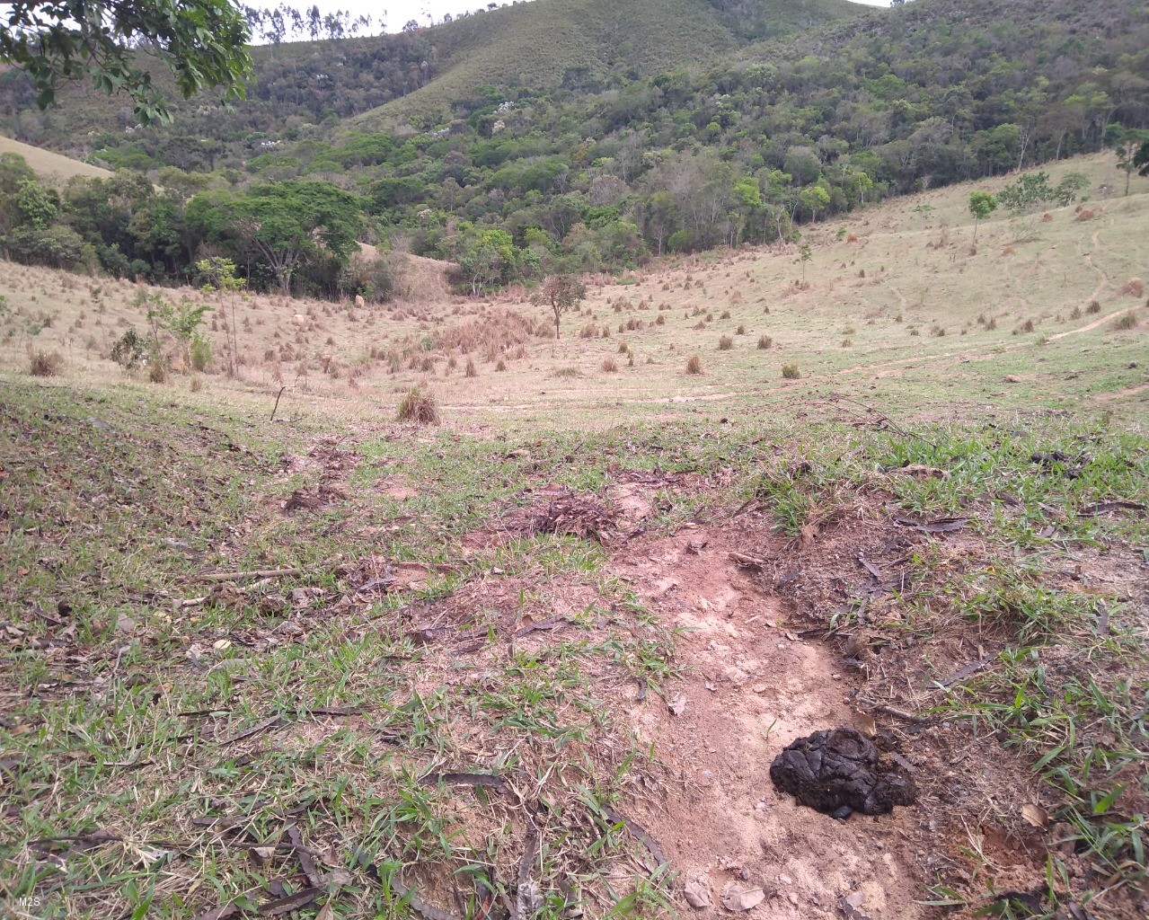 Chácara à venda, 24000m² - Foto 6