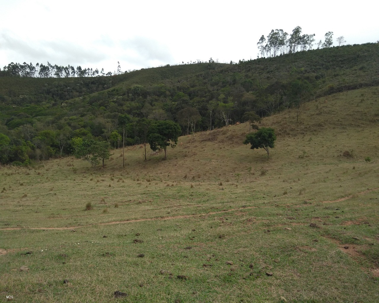 Chácara à venda, 24000m² - Foto 1