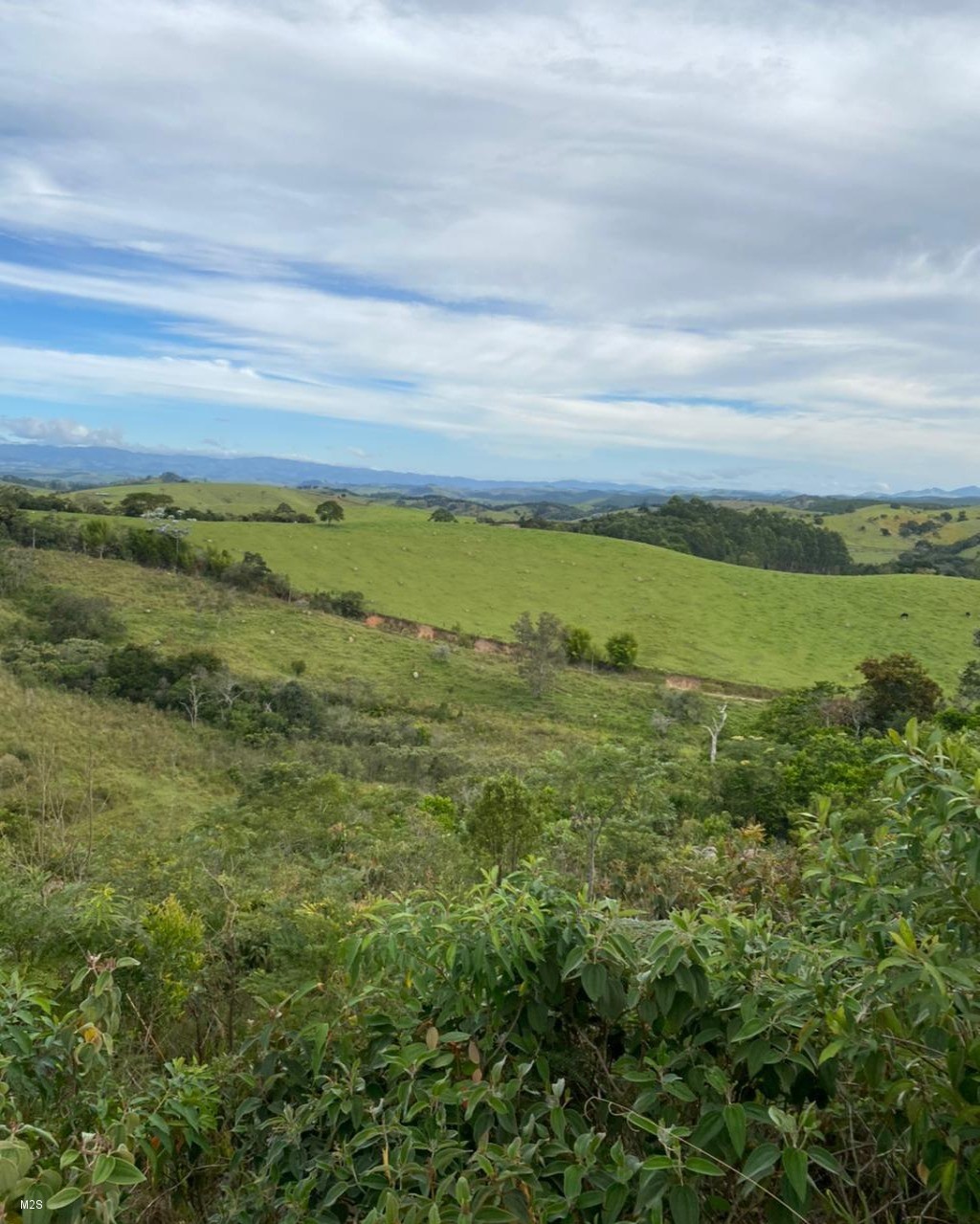 Chácara à venda, 24000m² - Foto 17