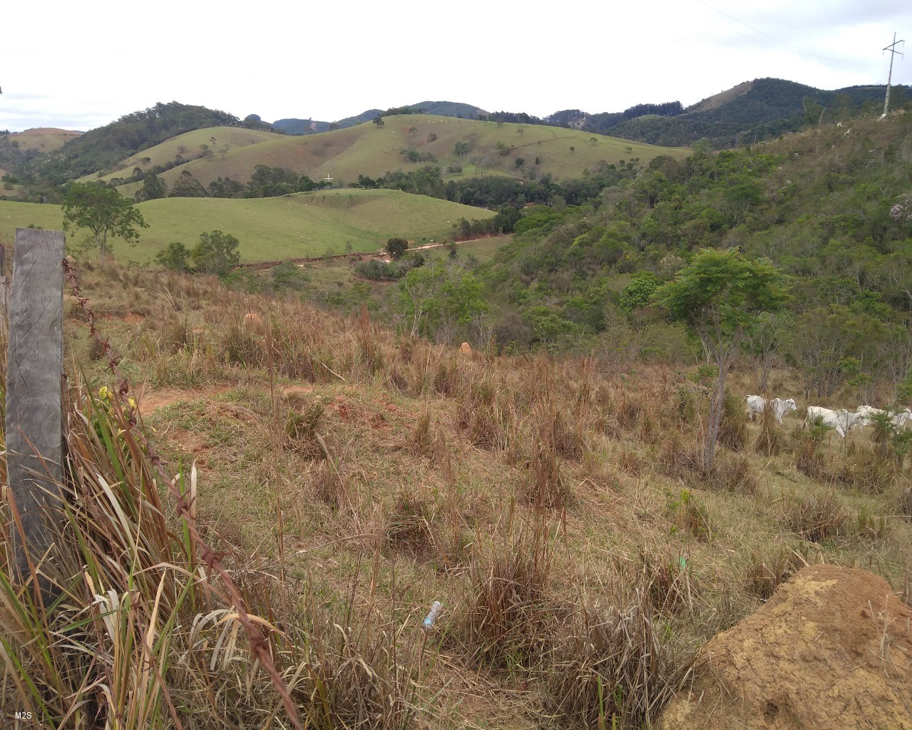 Chácara à venda, 24000m² - Foto 19