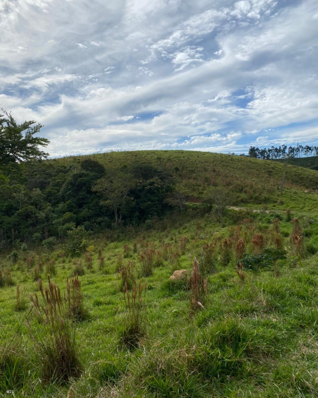 Chácara à venda, 24000m² - Foto 5