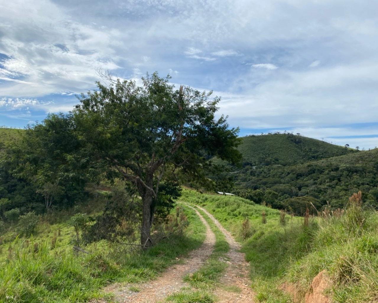 Chácara à venda, 24000m² - Foto 4