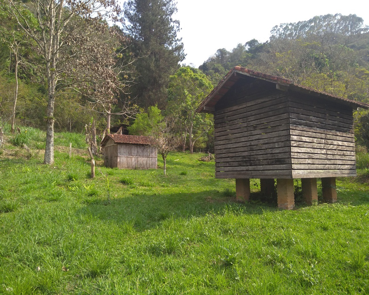 Sítio à venda com 4 quartos, 3m² - Foto 31