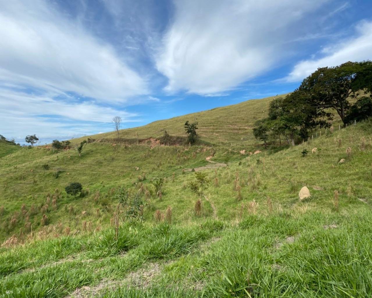 Chácara à venda, 24000m² - Foto 3