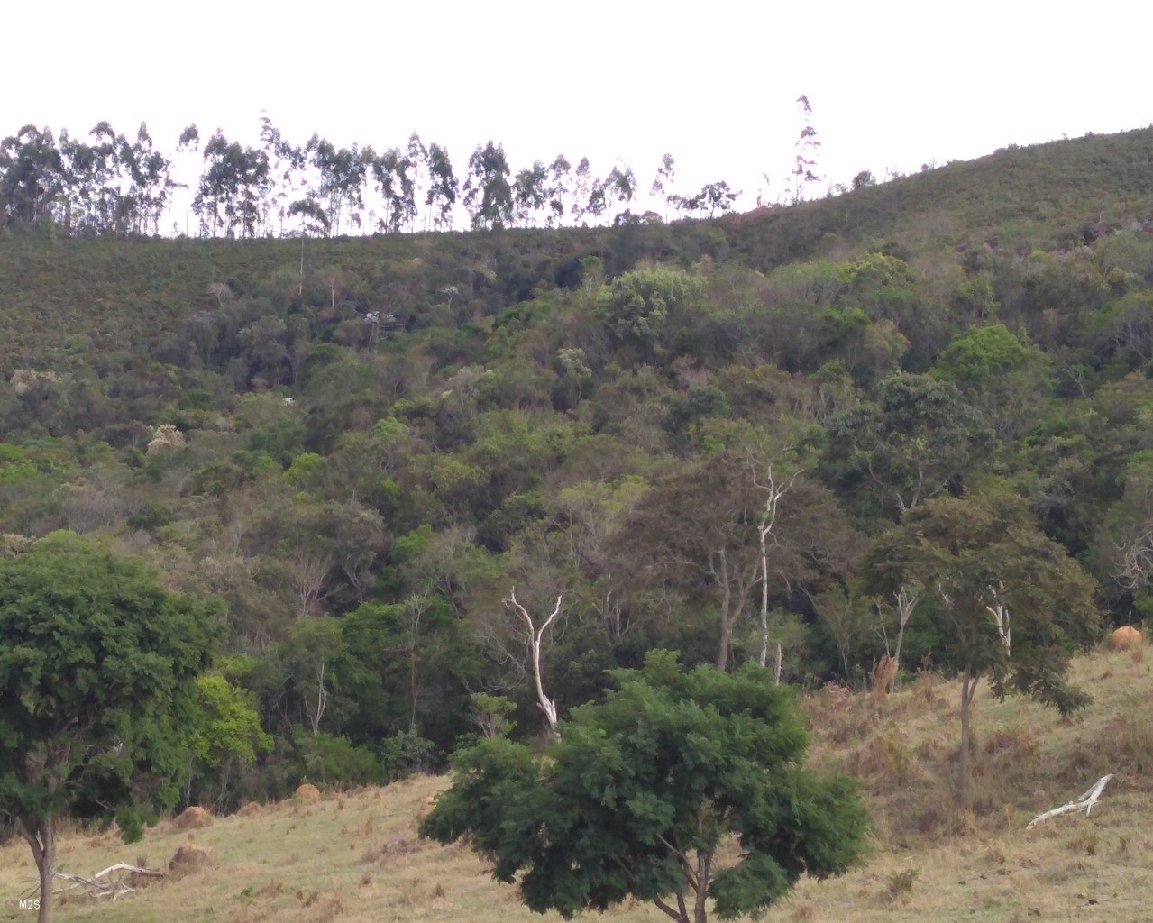 Chácara à venda, 24000m² - Foto 10