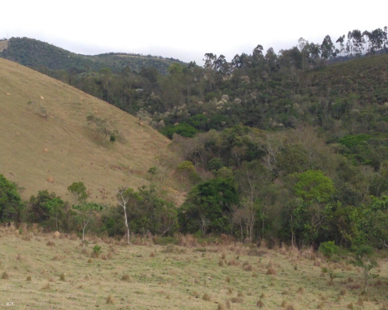 Chácara à venda, 24000m² - Foto 8