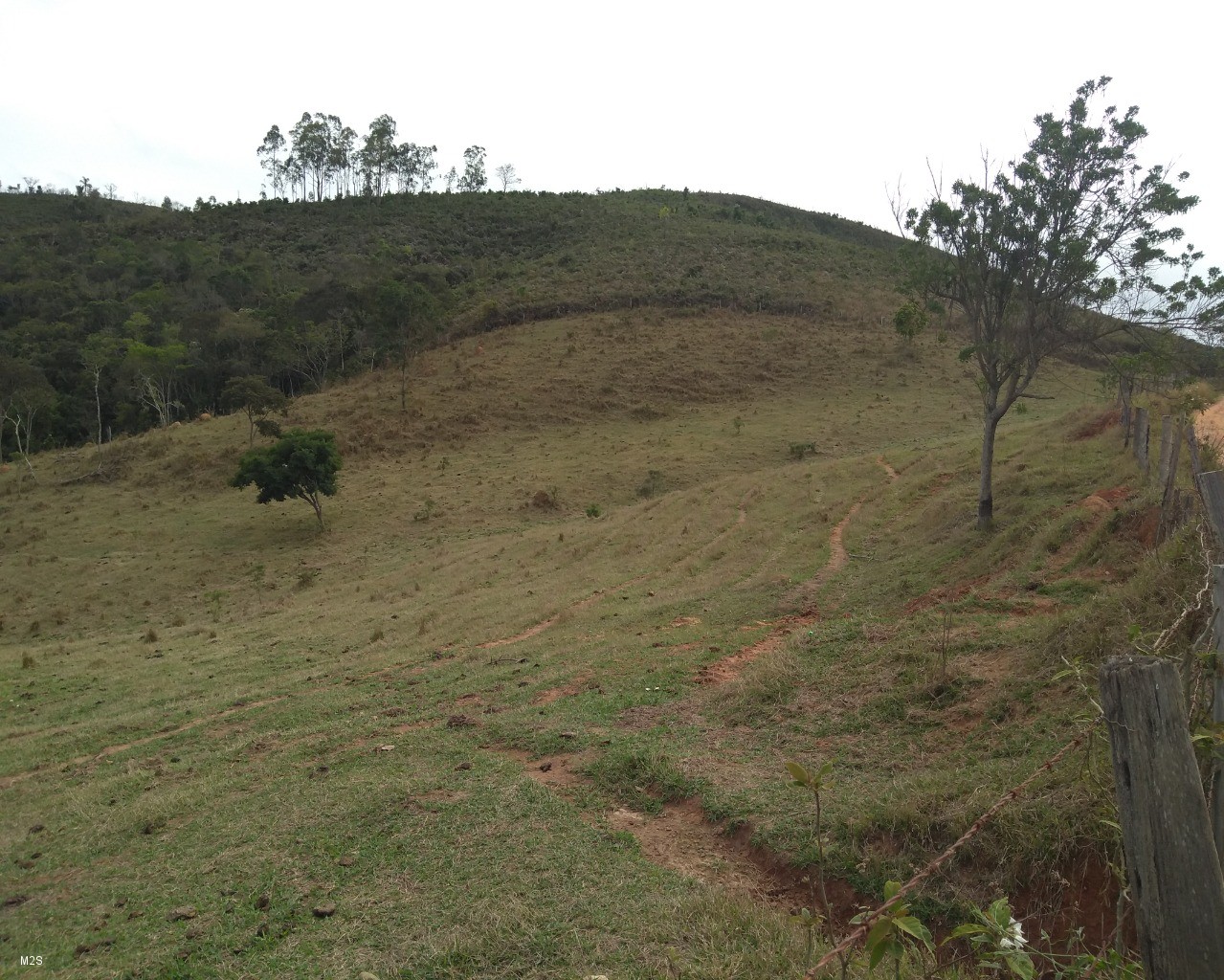 Chácara à venda, 24000m² - Foto 2