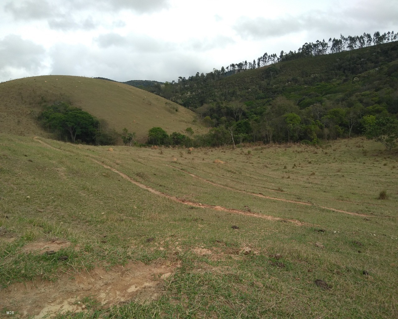 Chácara à venda, 24000m² - Foto 7