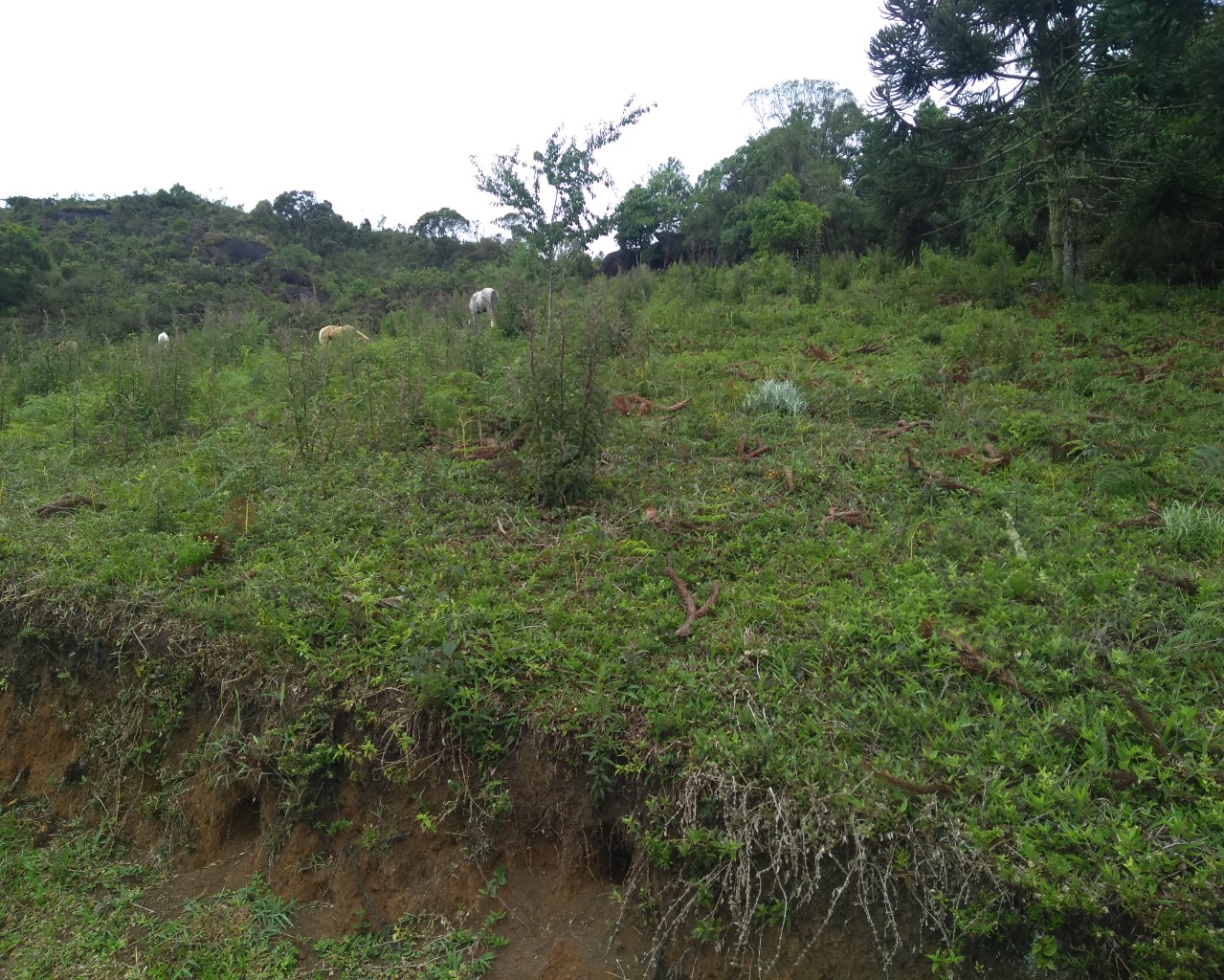 Chácara à venda, 30000m² - Foto 9