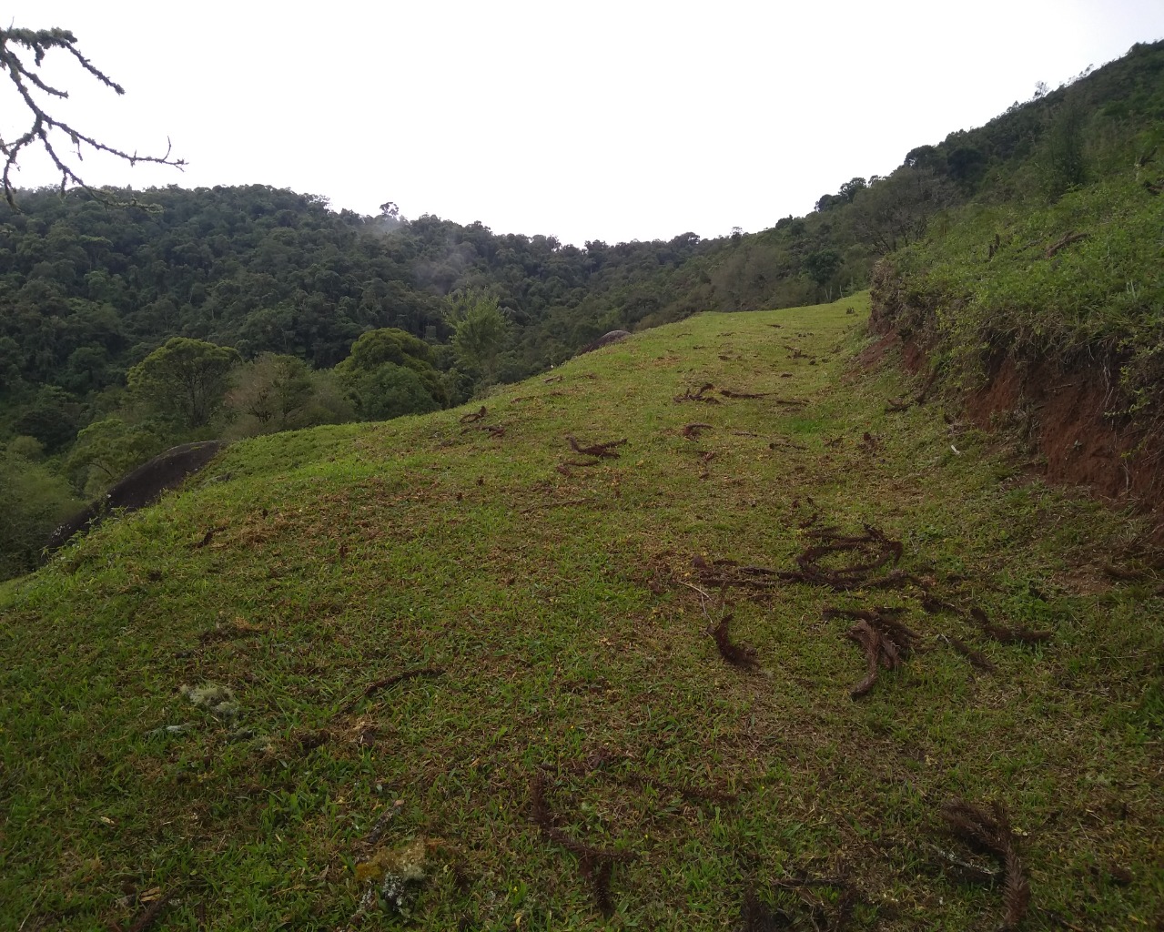 Chácara à venda, 30000m² - Foto 10