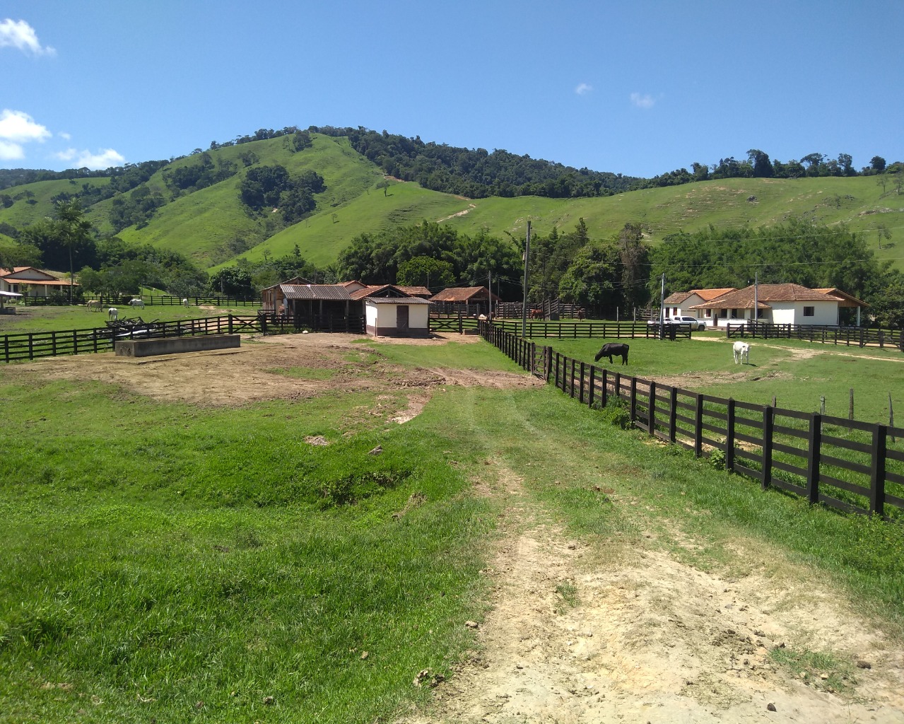 Fazenda à venda com 4 quartos - Foto 5