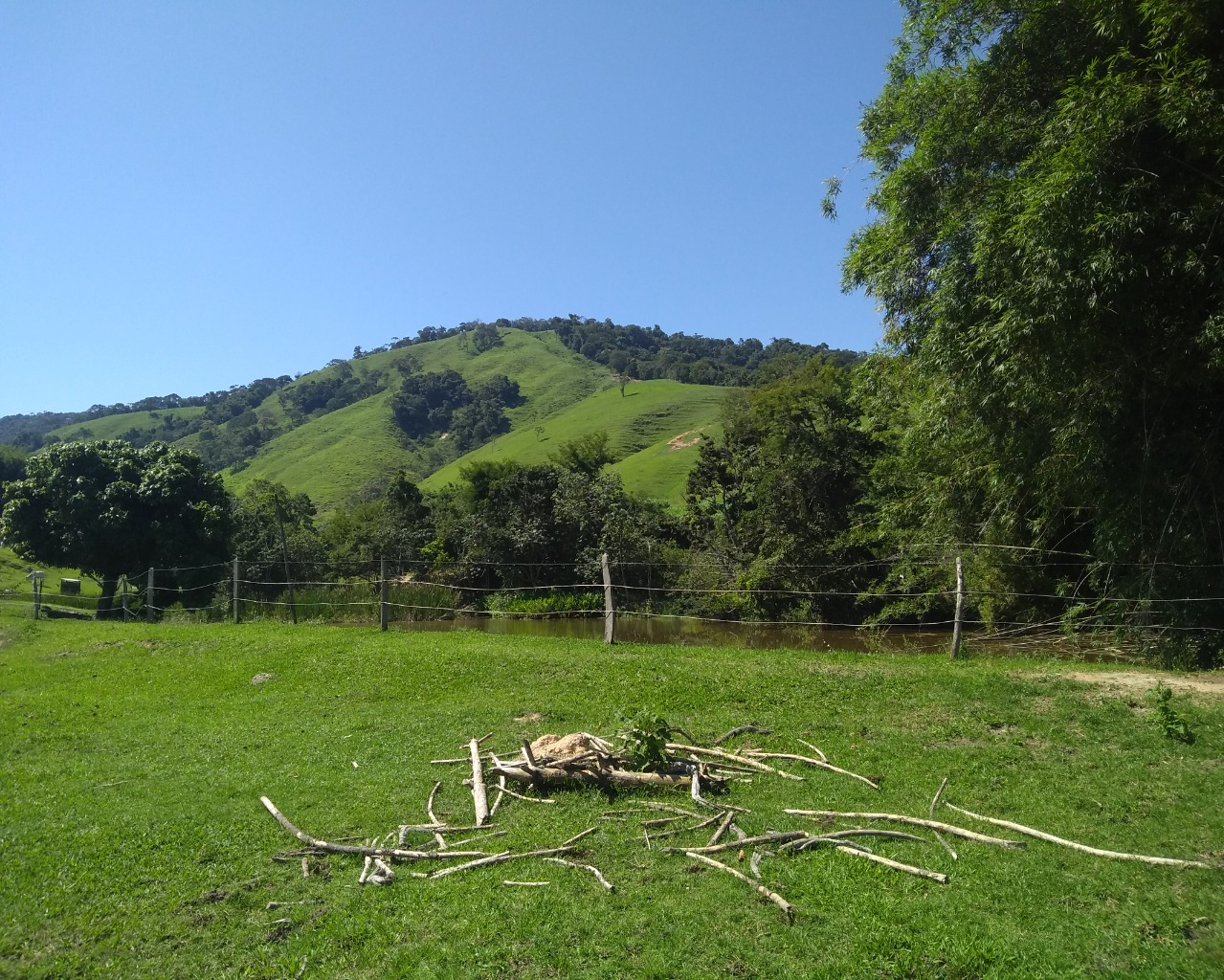 Fazenda à venda com 4 quartos - Foto 8