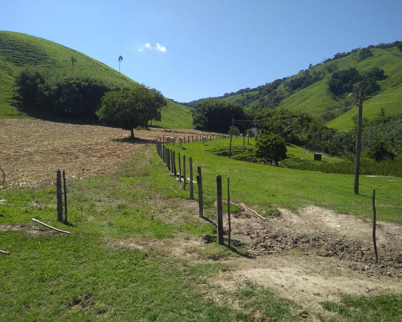 Fazenda à venda com 4 quartos - Foto 6