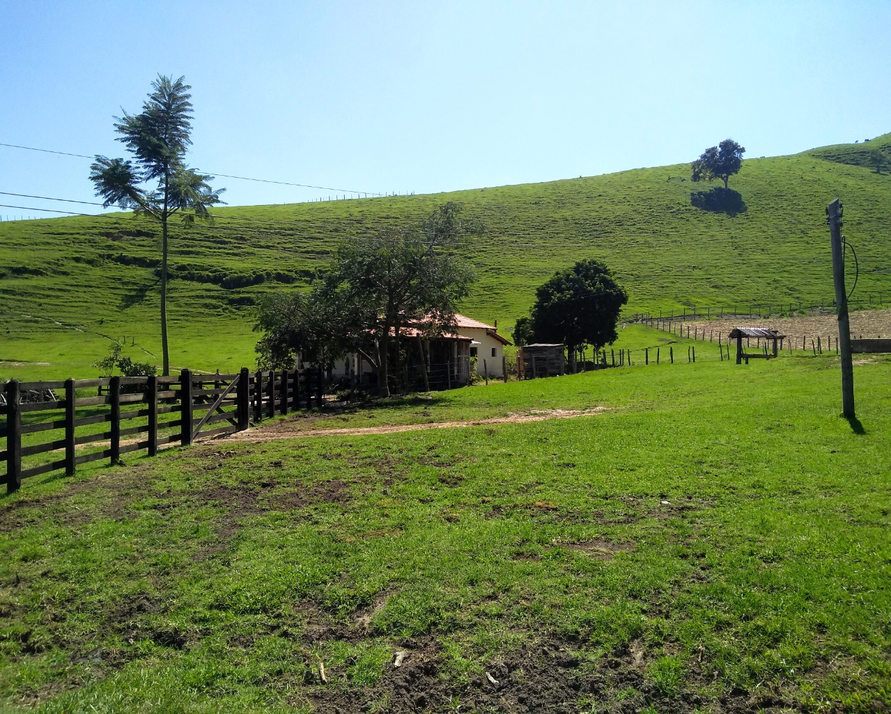 Fazenda à venda com 4 quartos - Foto 4