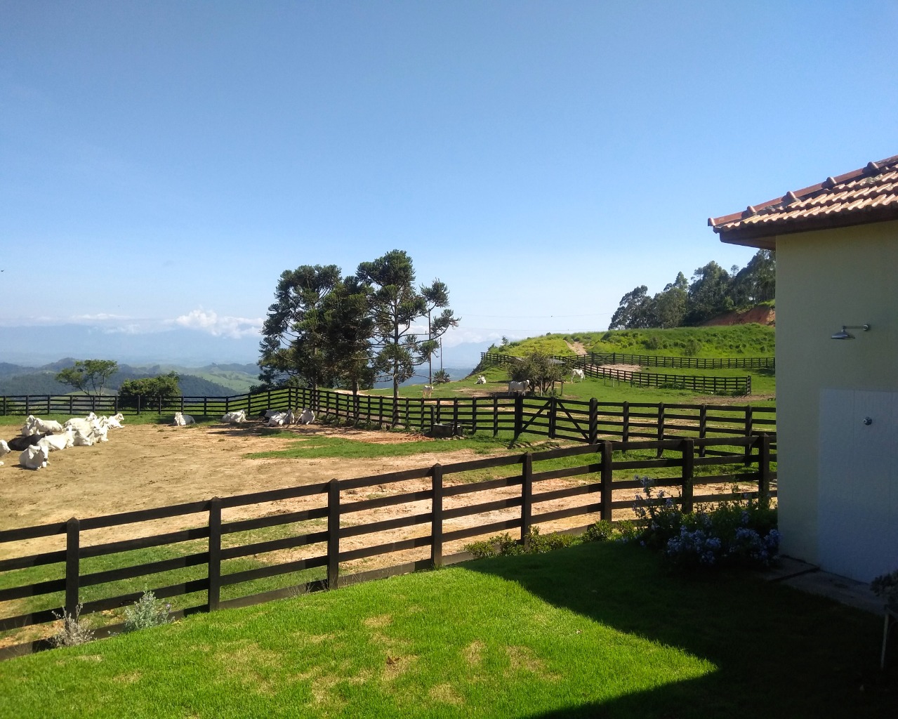 Fazenda à venda com 4 quartos - Foto 1