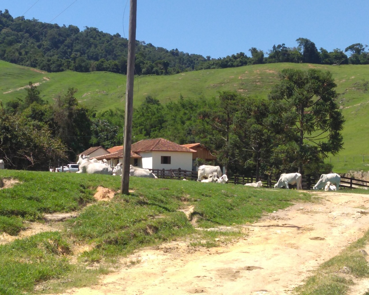 Fazenda à venda com 4 quartos - Foto 12