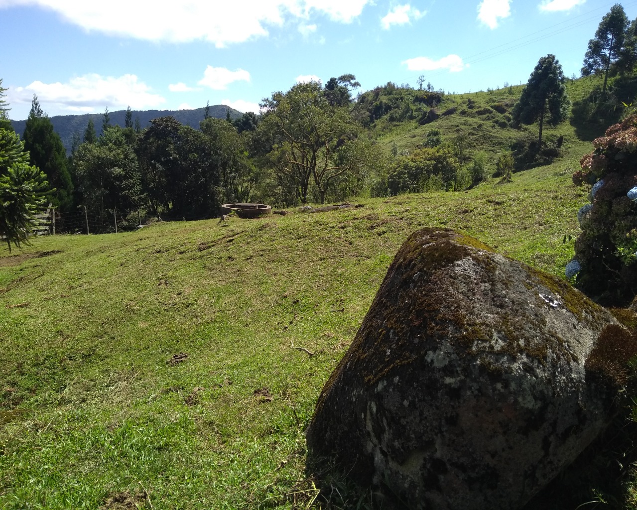 Chácara à venda, 30000m² - Foto 3