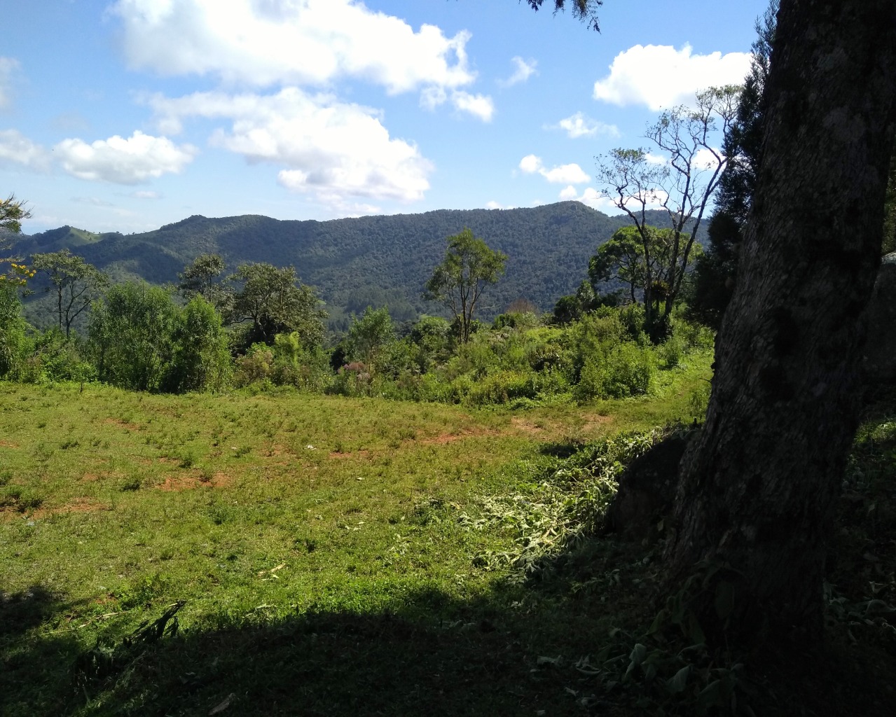 Chácara à venda, 30000m² - Foto 6