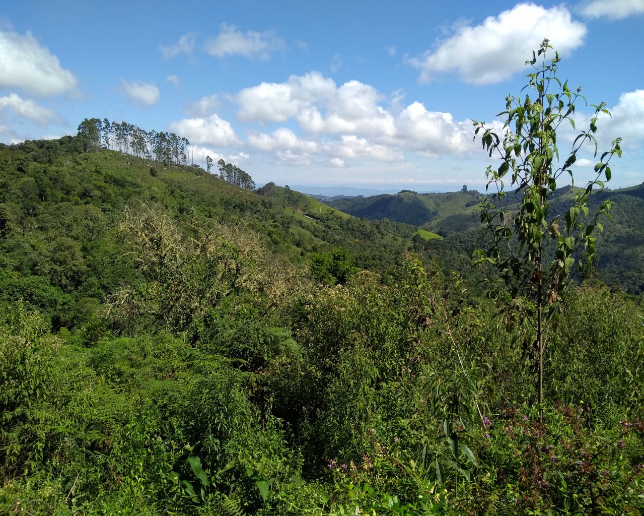 Chácara à venda, 30000m² - Foto 9