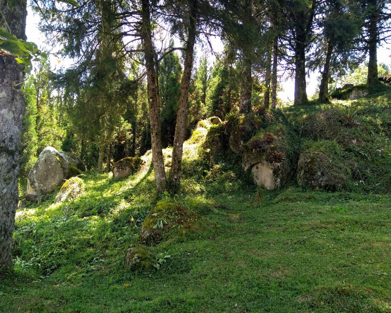 Chácara à venda, 30000m² - Foto 8