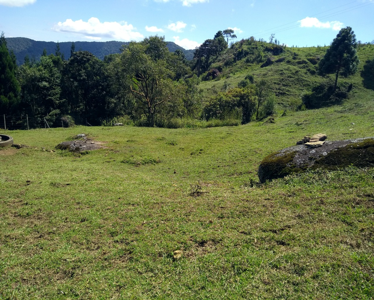 Chácara à venda, 30000m² - Foto 2