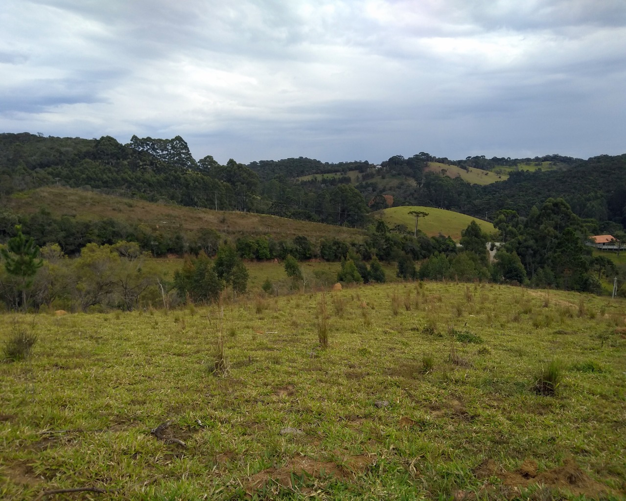 Chácara à venda, 30000m² - Foto 2