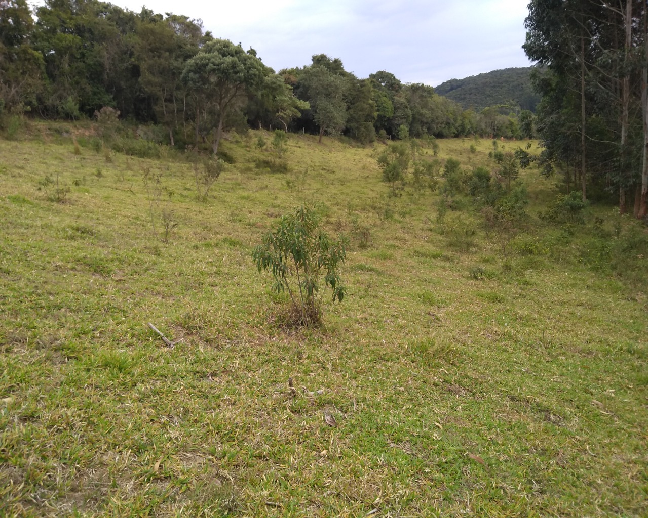 Chácara à venda, 30000m² - Foto 3