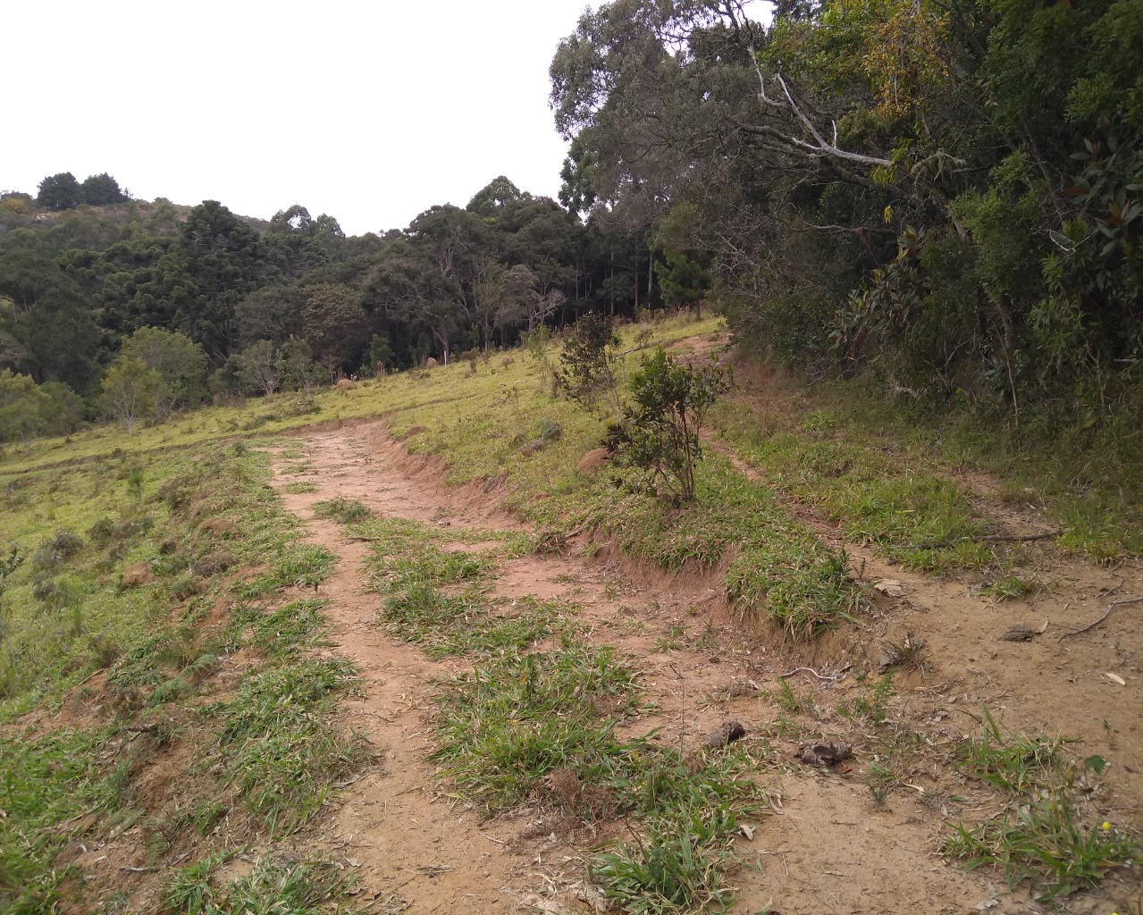 Chácara à venda, 30000m² - Foto 10