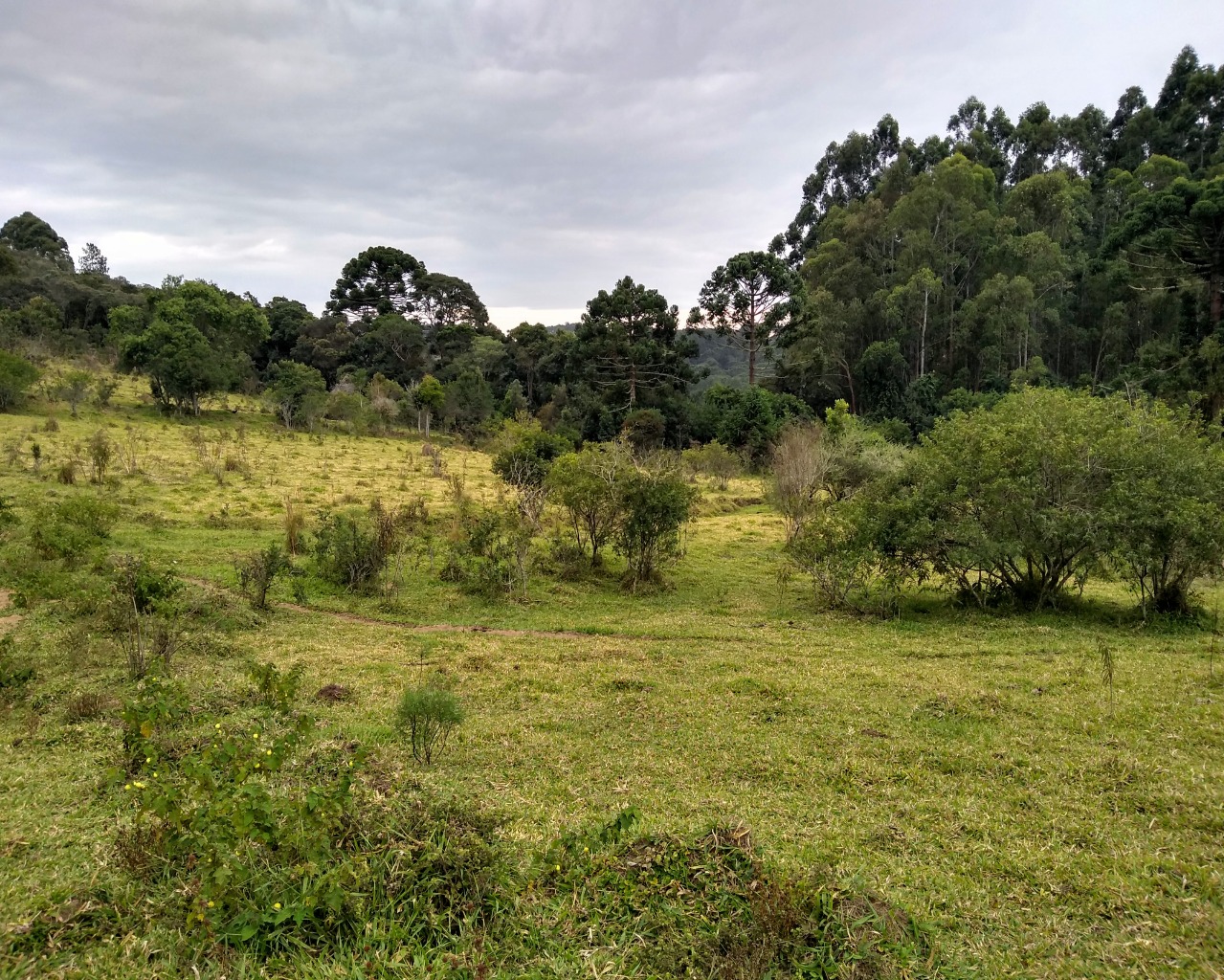 Chácara à venda, 30000m² - Foto 2