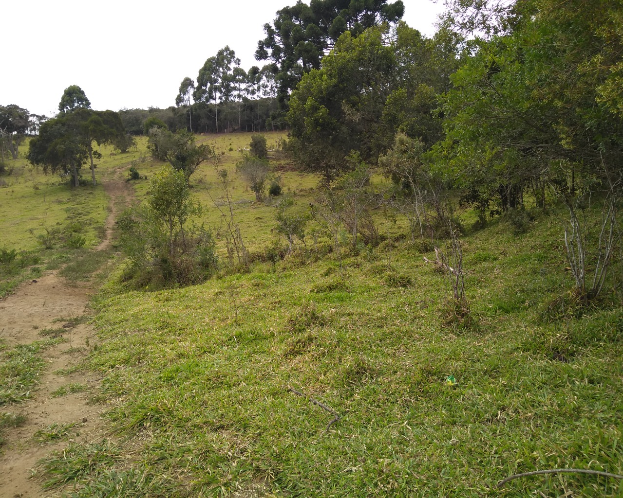 Chácara à venda, 30000m² - Foto 7