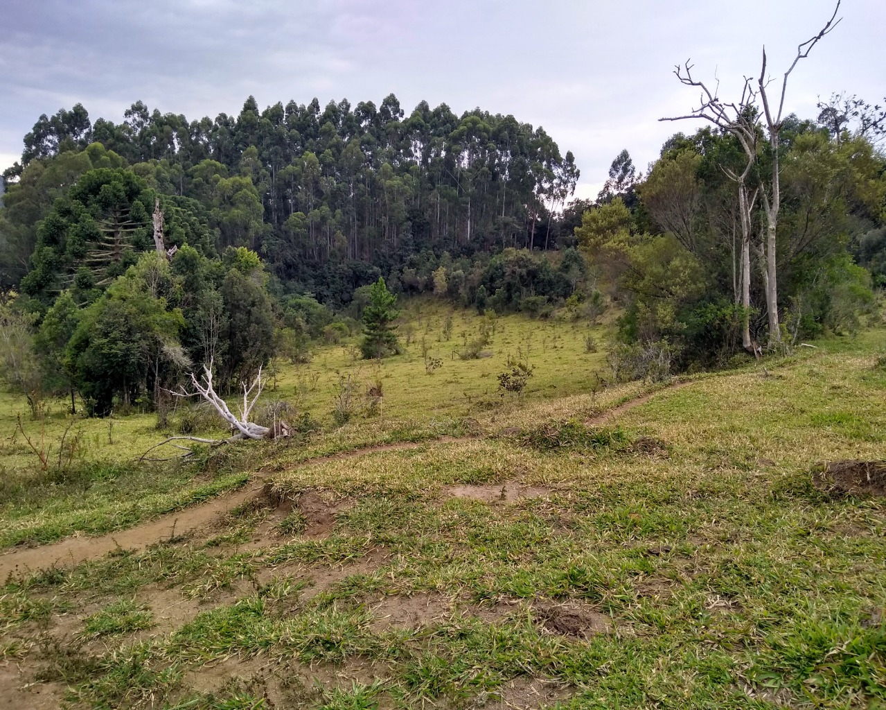 Chácara à venda, 30000m² - Foto 4