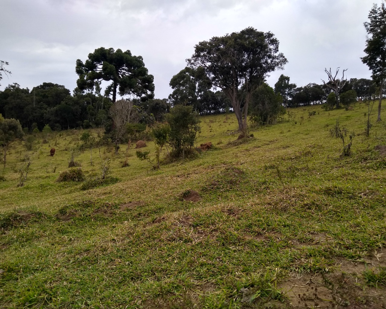 Chácara à venda, 30000m² - Foto 1