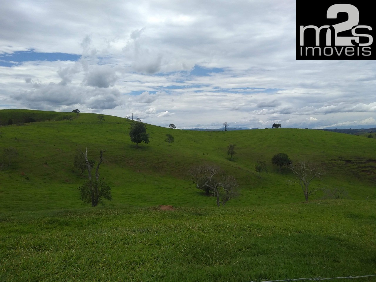 Fazenda à venda com 9 quartos - Foto 11