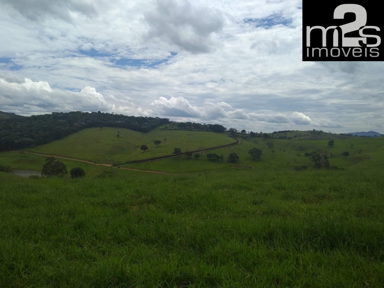 Fazenda à venda com 9 quartos - Foto 4