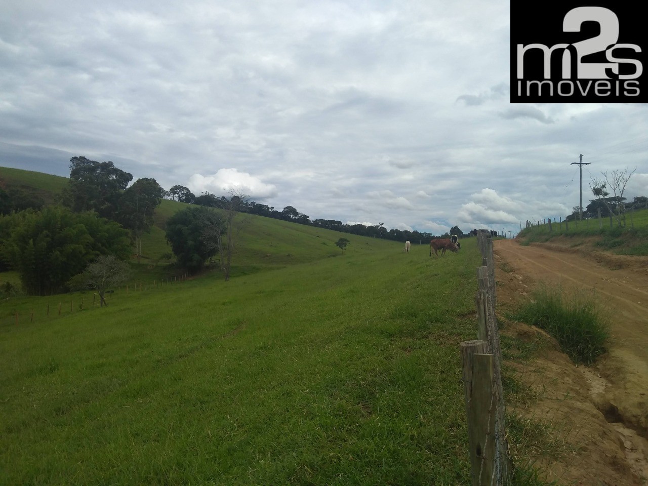 Fazenda à venda com 9 quartos - Foto 5