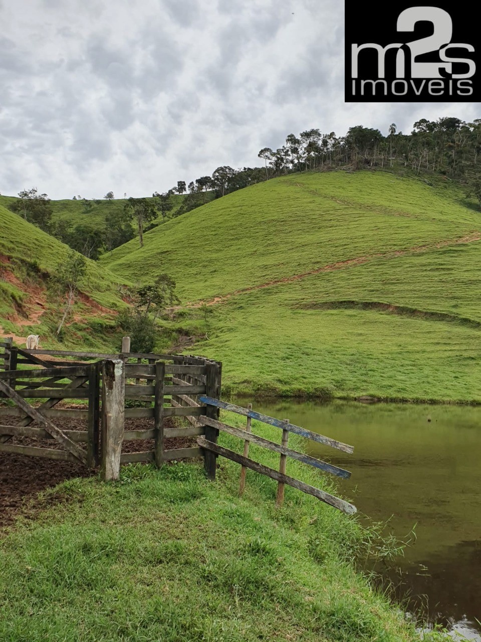 Fazenda à venda com 4 quartos - Foto 6