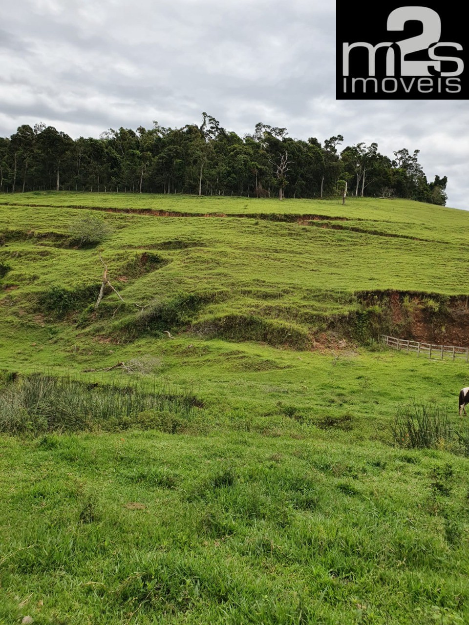 Fazenda à venda com 4 quartos - Foto 5