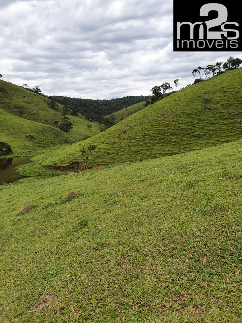 Fazenda à venda com 4 quartos - Foto 3